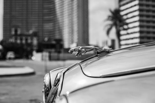 Kazoom kasiino Android/iOS rakendus